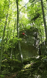 Steinberg Sud