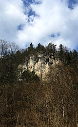 Bayreuther Riss