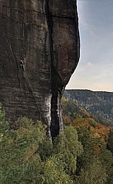 Kormidelník