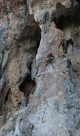 Trebenna West