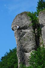 Dolina Bedkowska